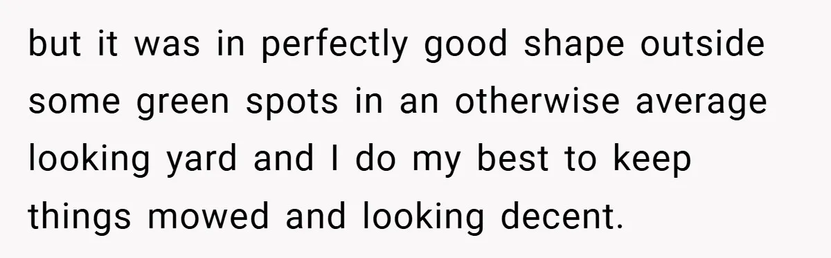 but it was in perfectly good shape outside some green spots in an otherwise average looking yard and I do my best to keep things mowed and looking decent.
