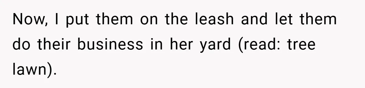 Now, I put them on the leash and let them do their business in her yard (read: tree lawn).