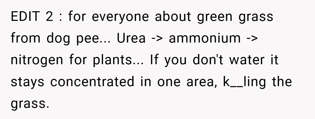 EDIT 2 : for everyone about green grass from dog pee... Urea -> ammonium -> nitrogen for plants... If you don't water it stays concentrated in one area, k__ling the...