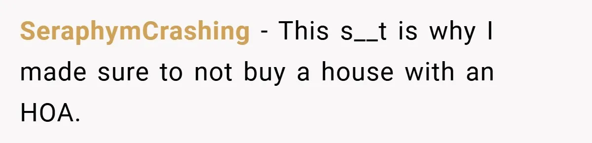 SeraphymCrashing − This s__t is why I made sure to not buy a house with an HOA.