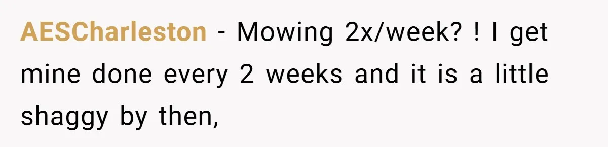 AESCharleston − Mowing 2x/week? ! I get mine done every 2 weeks and it is a little shaggy by then,