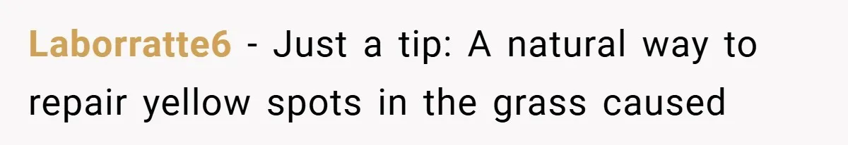 Laborratte6 − Just a tip: A natural way to repair yellow spots in the grass caused