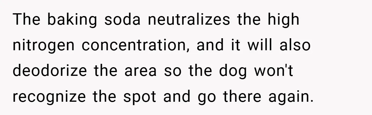 The baking soda neutralizes the high nitrogen concentration, and it will also deodorize the area so the dog won't recognize the spot and go there again.