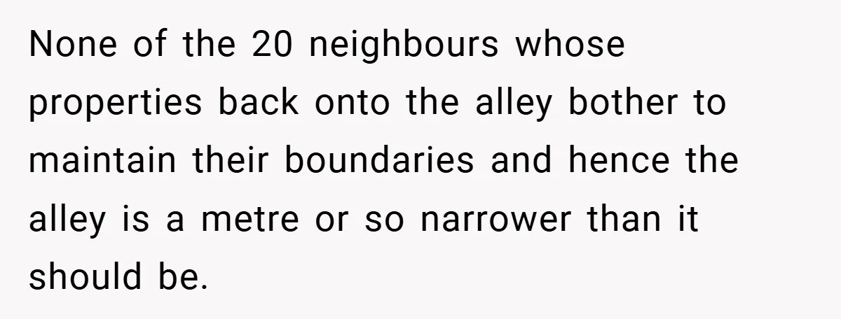 None of the 20 neighbours whose properties back onto the alley bother to maintain their boundaries and hence the alley is a metre or so narrower than it should be.