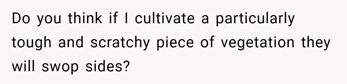 Do you think if I cultivate a particularly tough and scratchy piece of vegetation they will swop sides?