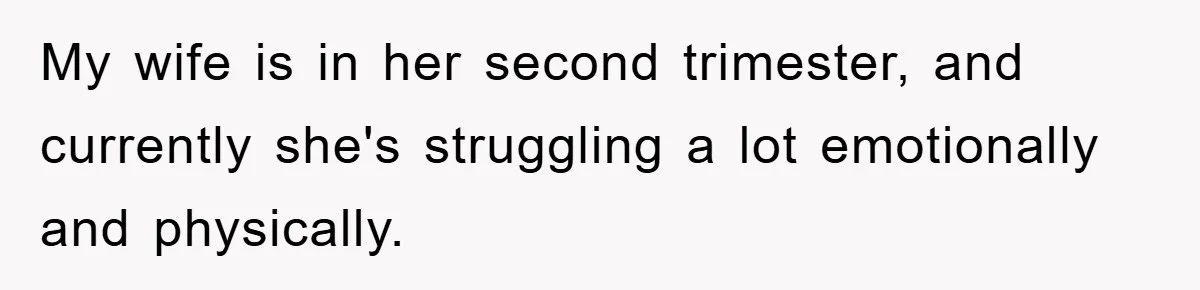My wife is in her second trimester, and currently she's struggling a lot emotionally and physically.