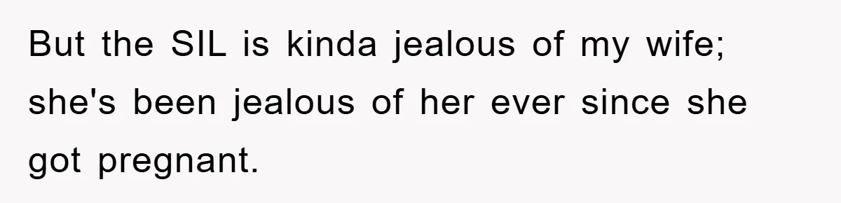 But the SIL is kinda jealous of my wife; she's been jealous of her ever since she got pregnant.
