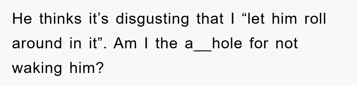 He thinks it’s disgusting that I “let him roll around in it”. Am I the a__hole for not waking him?