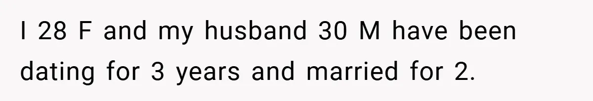 Pregnant Woman Refuses to Cook for Husband’s Party—He Calls Her “Selfish” for Not Helping His Friend Find Love I 28 F and my husband 30 M have been dating for 3 years and married for 2.