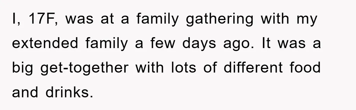 I, 17F, was at a family gathering with my extended family a few days ago. It was a big get-together with lots of different food and drinks.