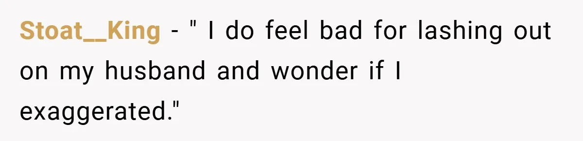 Pregnant Woman Refuses to Cook for Husband’s Party—He Calls Her “Selfish” for Not Helping His Friend Find Love Stoat__King − " I do feel bad for lashing out on my husband and wonder if I exaggerated."