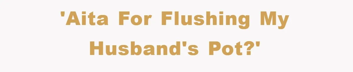 'AITA for flushing my husband's pot?'