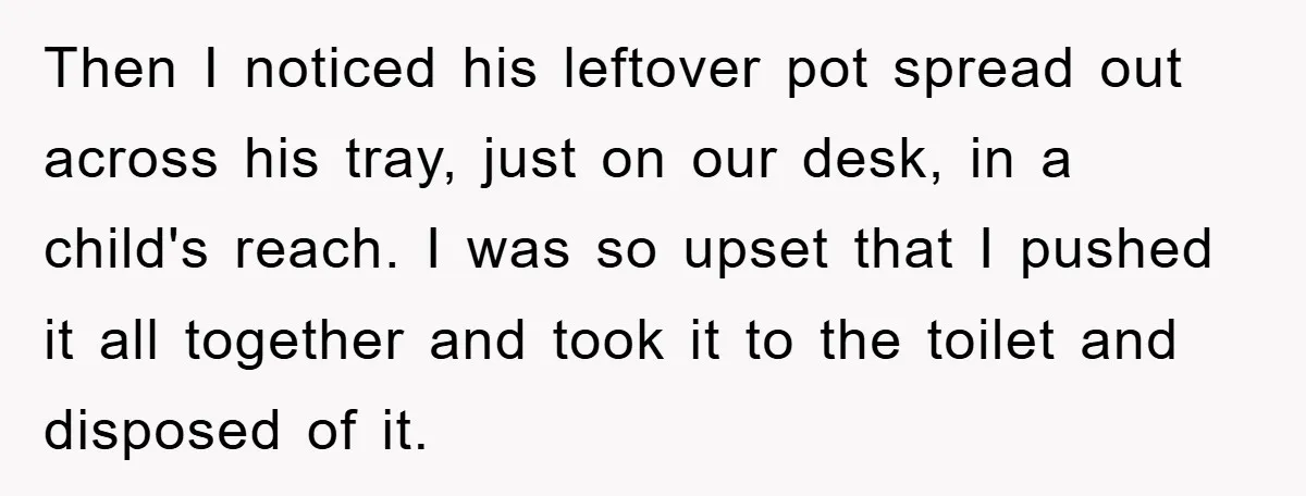Then I noticed his leftover pot spread out across his tray, just on our desk, in a child's reach. I was so upset that I pushed it all together and...