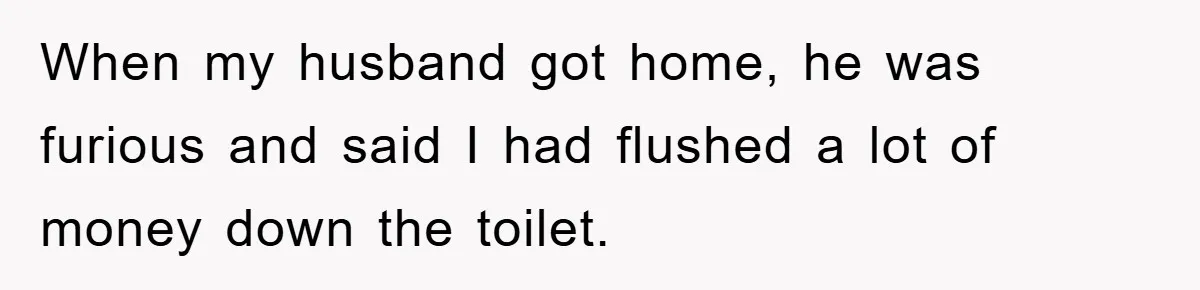 When my husband got home, he was furious and said I had flushed a lot of money down the toilet.