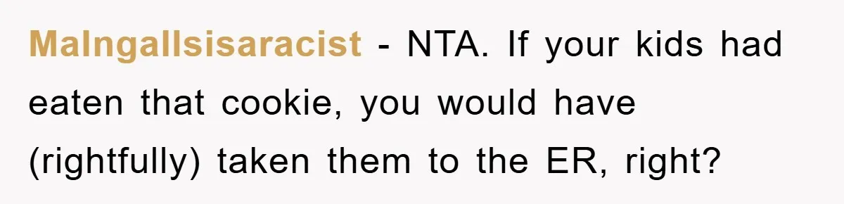 MaIngallsisaracist − NTA. If your kids had eaten that cookie, you would have (rightfully) taken them to the ER, right?