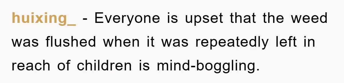 huixing_ − Everyone is upset that the weed was flushed when it was repeatedly left in reach of children is mind-boggling.