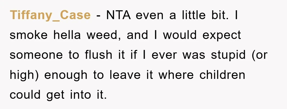 Tiffany_Case − NTA even a little bit. I smoke hella weed, and I would expect someone to flush it if I ever was stupid (or high) enough to leave it...