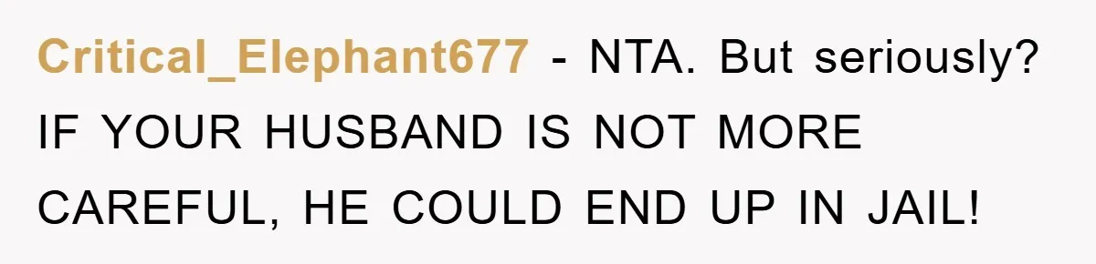 Critical_Elephant677 − NTA. But seriously? IF YOUR HUSBAND IS NOT MORE CAREFUL, HE COULD END UP IN JAIL!