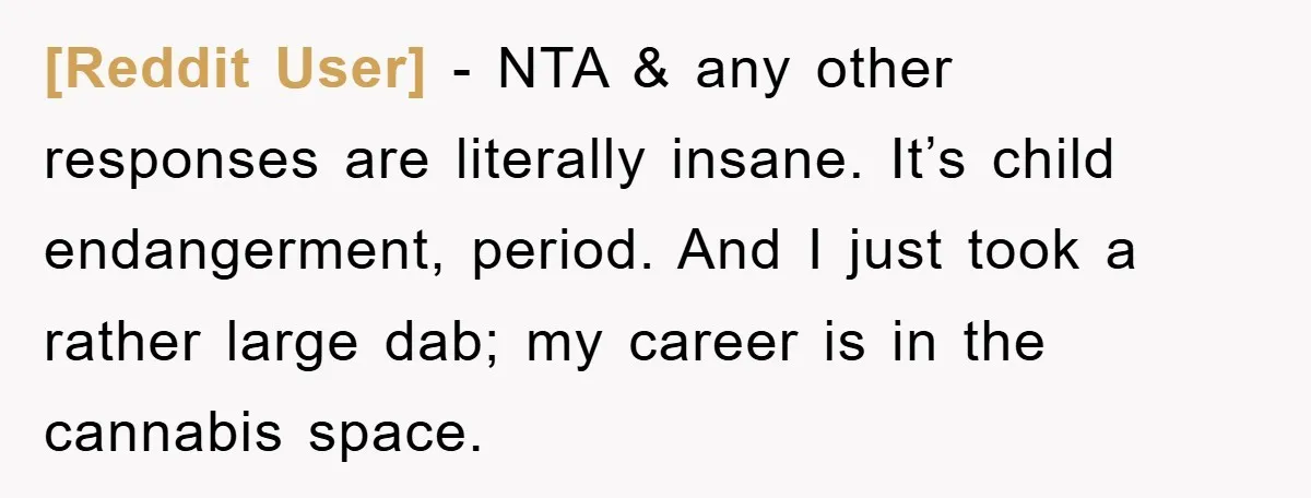 [Reddit User] − NTA & any other responses are literally insane. It’s child endangerment, period. And I just took a rather large dab; my career is in the cannabis space.
