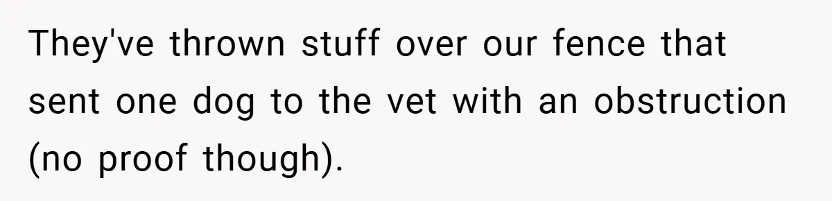 They've thrown stuff over our fence that sent one dog to the vet with an obstruction (no proof though).