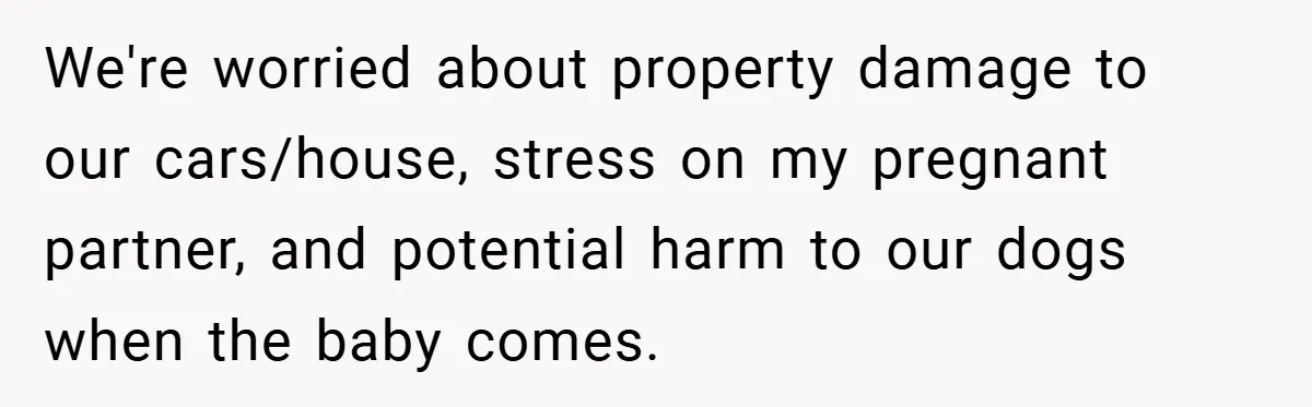 We're worried about property damage to our cars/house, stress on my pregnant partner, and potential harm to our dogs when the baby comes.