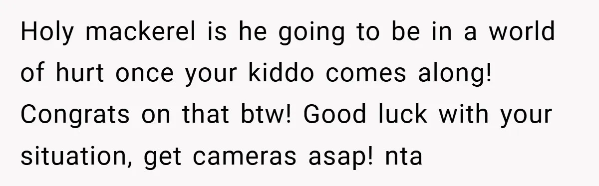 Holy mackerel is he going to be in a world of hurt once your kiddo comes along! Congrats on that btw! Good luck with your situation, get cameras asap! nta