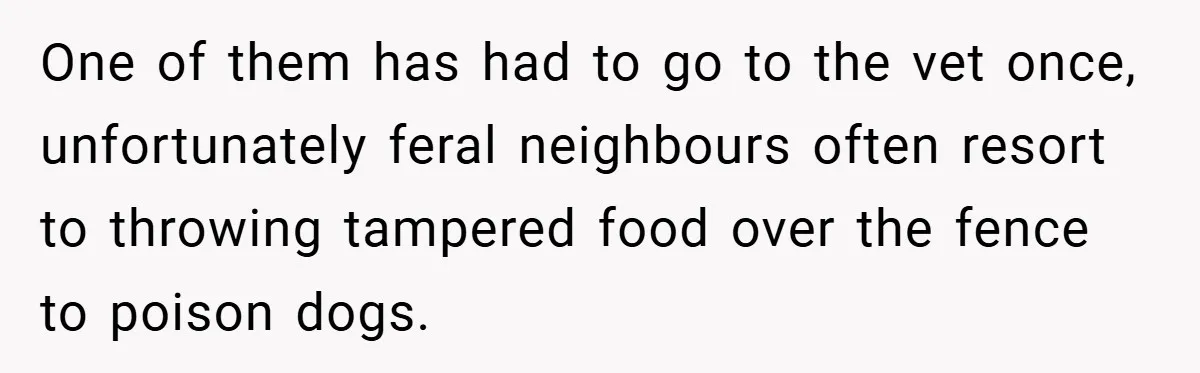 One of them has had to go to the vet once, unfortunately feral neighbours often resort to throwing tampered food over the fence to poison dogs.