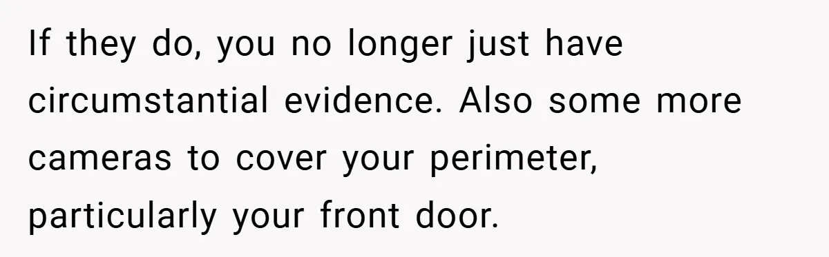 If they do, you no longer just have circumstantial evidence. Also some more cameras to cover your perimeter, particularly your front door.