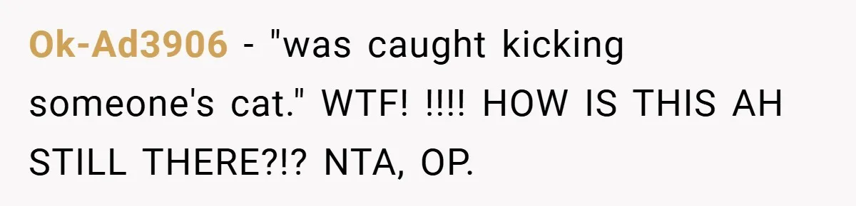 Ok-Ad3906 − "was caught kicking someone's cat." WTF! !!!! HOW IS THIS AH STILL THERE?!? NTA, OP.