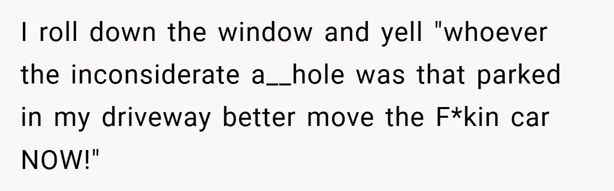 I roll down the window and yell "whoever the inconsiderate a__hole was that parked in my driveway better move the F*kin car NOW!"