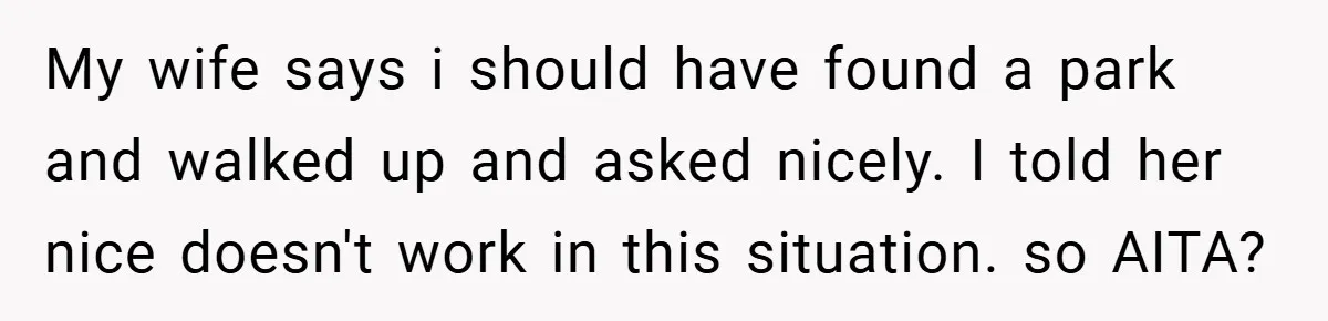 My wife says i should have found a park and walked up and asked nicely. I told her nice doesn't work in this situation. so AITA?