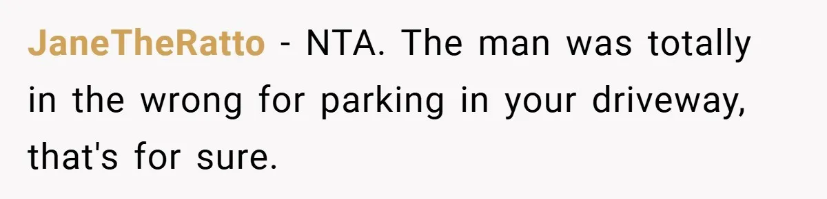 JaneTheRatto − NTA. The man was totally in the wrong for parking in your driveway, that's for sure.