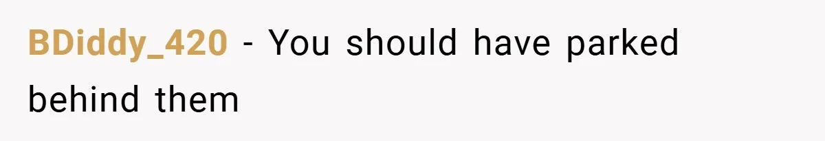 BDiddy_420 − You should have parked behind them