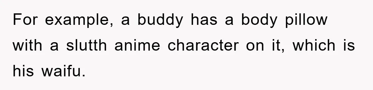 For example, a buddy has a body pillow with a slutth anime character on it, which is his waifu.