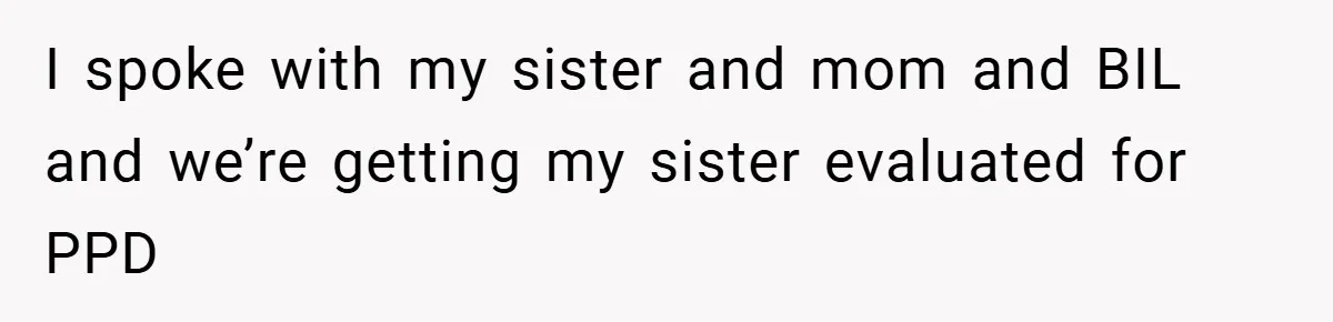 I spoke with my sister and mom and BIL and we’re getting my sister evaluated for PPD