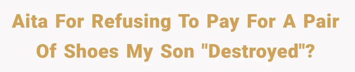 AITA for refusing to pay for a pair of shoes my son "destroyed"?