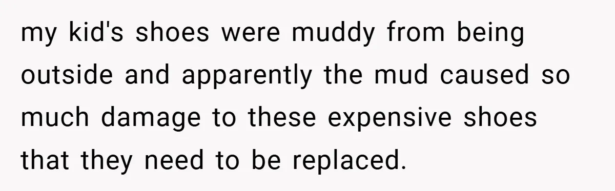 my kid's shoes were muddy from being outside and apparently the mud caused so much damage to these expensive shoes that they need to be replaced.
