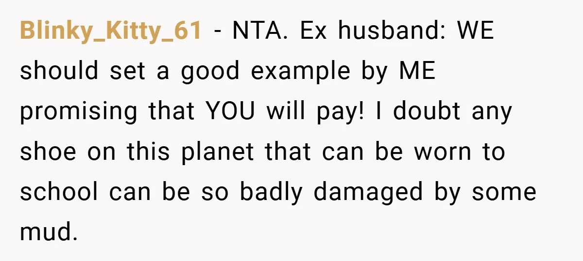 Blinky_Kitty_61 − NTA. Ex husband: WE should set a good example by ME promising that YOU will pay! I doubt any shoe on this planet that can be worn to...