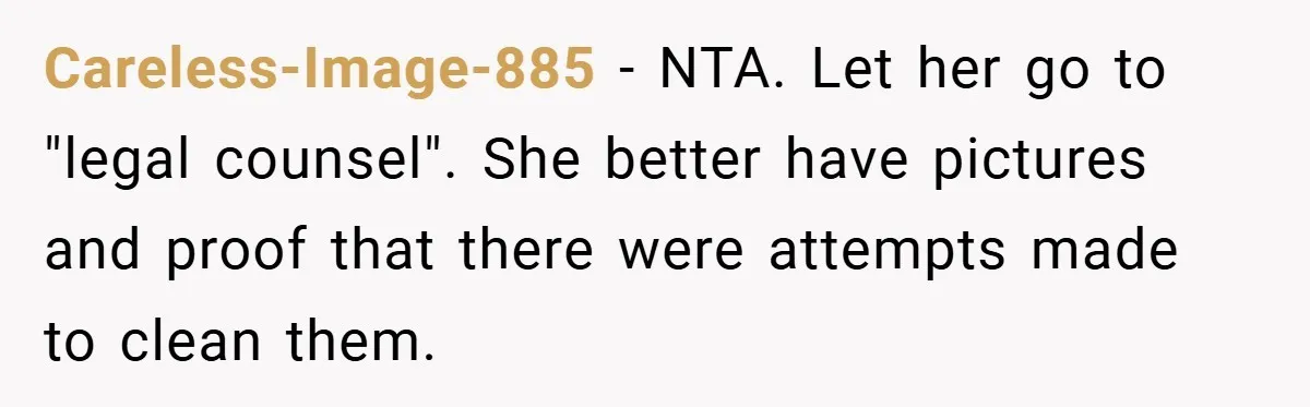 Careless-Image-885 − NTA. Let her go to "legal counsel". She better have pictures and proof that there were attempts made to clean them.