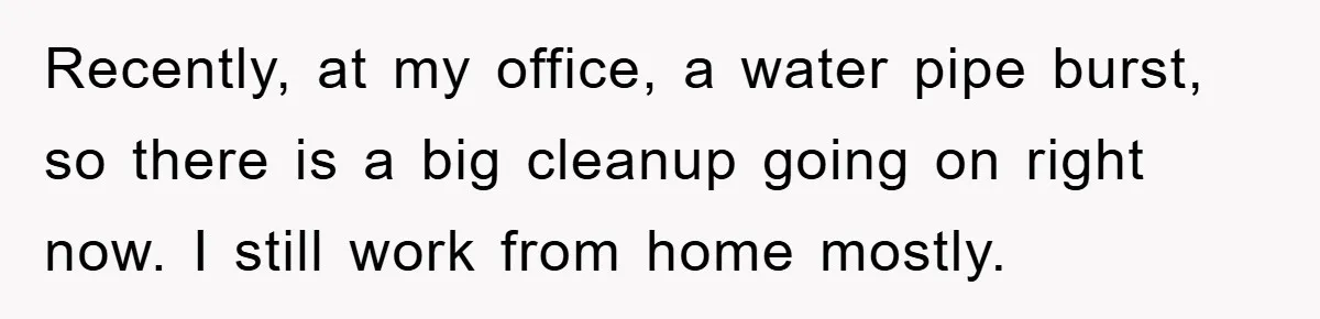 Recently, at my office, a water pipe burst, so there is a big cleanup going on right now. I still work from home mostly.