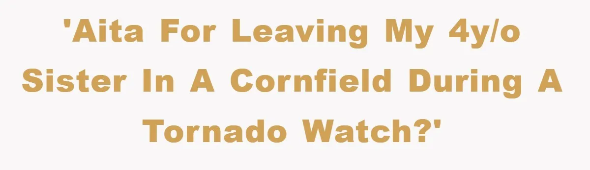 'AITA for leaving my 4y/o sister in a cornfield during a tornado watch?'