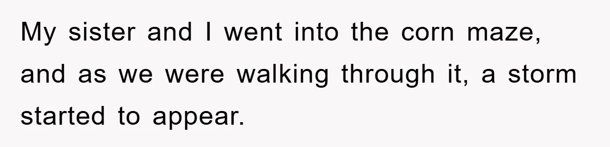 My sister and I went into the corn maze, and as we were walking through it, a storm started to appear.