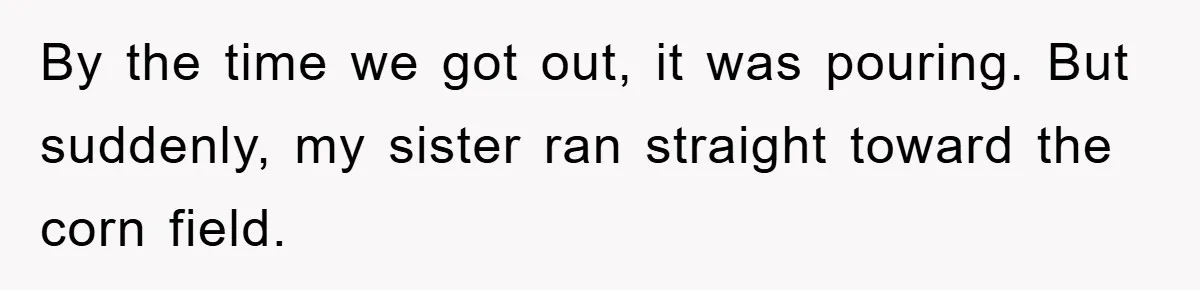 By the time we got out, it was pouring. But suddenly, my sister ran straight toward the corn field.