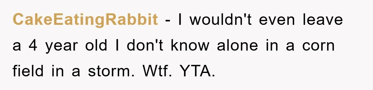 CakeEatingRabbit − I wouldn't even leave a 4 year old I don't know alone in a corn field in a storm. Wtf. YTA.