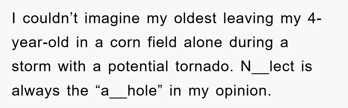 I couldn’t imagine my oldest leaving my 4-year-old in a corn field alone during a storm with a potential tornado. N__lect is always the “a__hole” in my opinion.