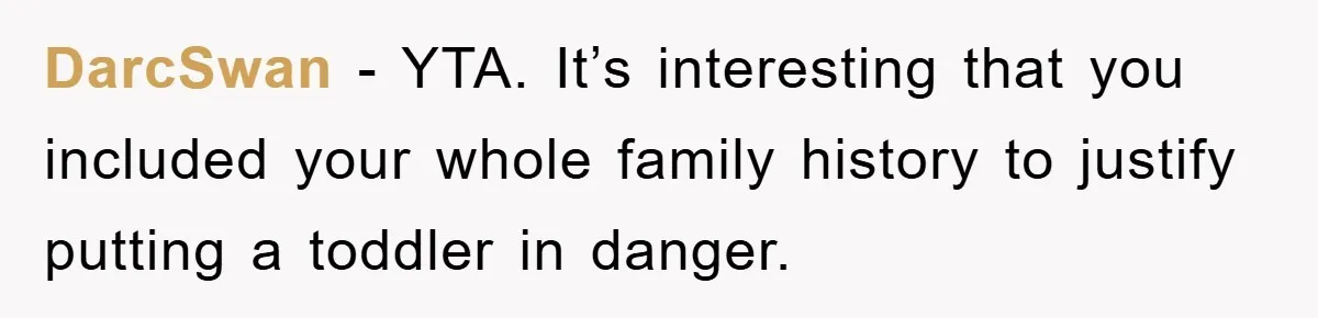 DarcSwan − YTA. It’s interesting that you included your whole family history to justify putting a toddler in danger.