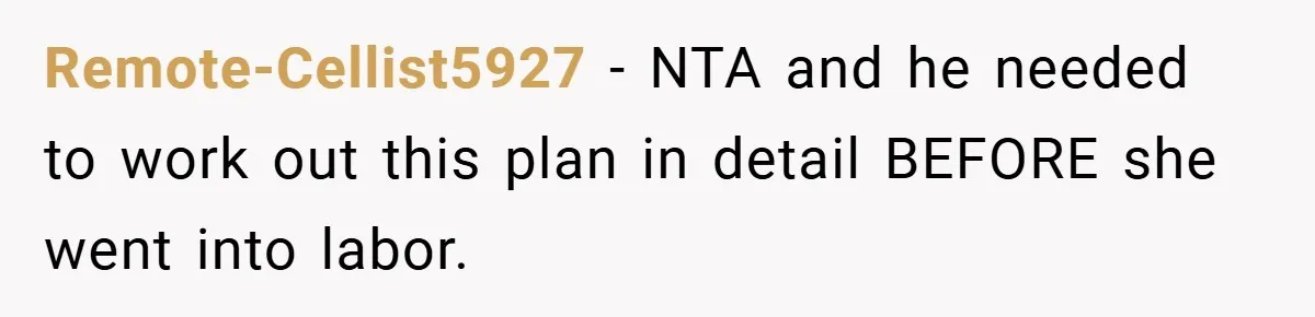 Remote-Cellist5927 − NTA and he needed to work out this plan in detail BEFORE she went into labor.