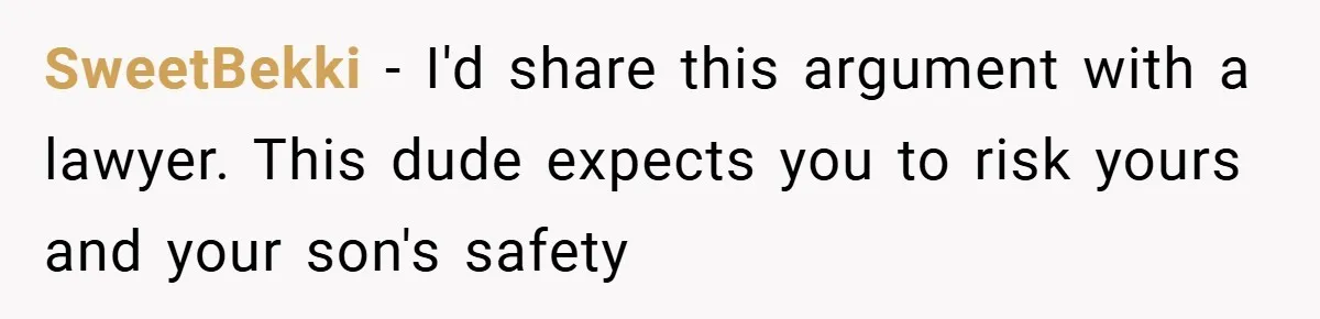 SweetBekki − I'd share this argument with a lawyer. This dude expects you to risk yours and your son's safety