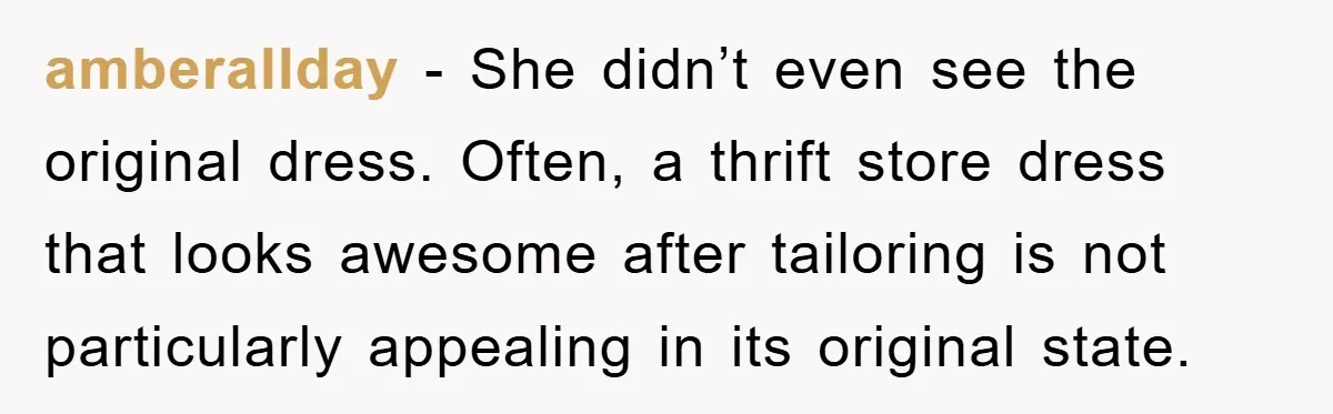 Woman’s DIY Gift Turns Into A Fashion Scandal After A Plus-Size Sister Finds The Original Tag amberallday − She didn’t even see the original dress. Often, a thrift store dress that looks awesome after tailoring is not particularly appealing in its original state.
