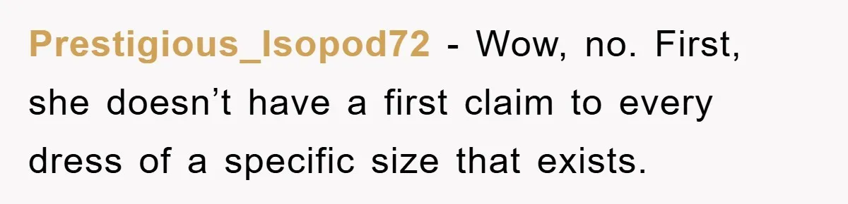 Woman’s DIY Gift Turns Into A Fashion Scandal After A Plus-Size Sister Finds The Original Tag Prestigious_Isopod72 − Wow, no. First, she doesn’t have a first claim to every dress of a specific size that exists.